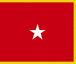 [Army Brigadier General Medical Department flag]